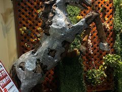 -感恩心素食馆(百世广场店)