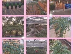 -北戴河集发农业梦想王国