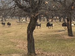 -西安秦岭野生动物园