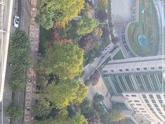 -西京医院