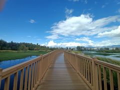 -洱海月湿地公园