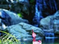 -九如山休闲旅游度假区