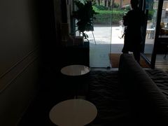 -the rug 飞毯 (朝阳公园店)