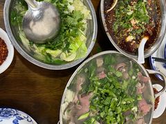 -小杨翘脚牛肉