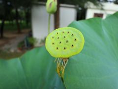 -龙环葡韵住宅式博物馆