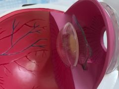 -武汉大学附属爱尔眼科医院(湖北总院)