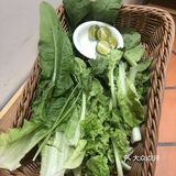 椰子味十足，真的不错 吃到后面汤底有些油了