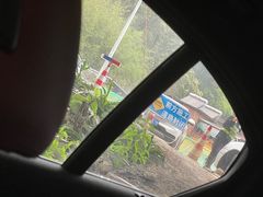 -广州白江湖森林公园