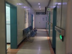 -北京观赏动物医院·24小时大型综合·猫专科·异宠专科