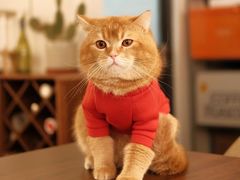 -松松咖啡