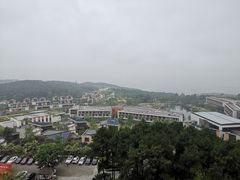 -铁山坪森林公园