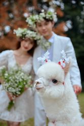 -黑马婚纱摄影