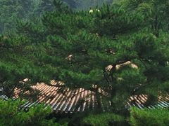 -潭柘寺景区