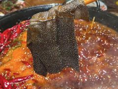 -水巷子·巴掌腰片重庆火锅(巧家店)