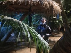 -北戴河集发农业梦想王国