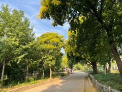 -北京西山国家森林公园