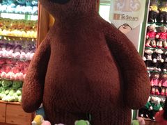 -济州岛泰迪熊博物馆