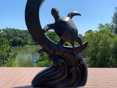 -广东惠东海龟国家级自然保护区