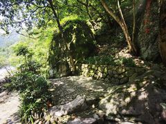 -百杖潭景区