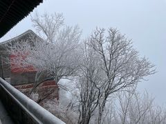 -妙峰山风景名胜区