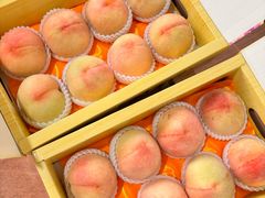 -南汇水蜜桃采摘(大团店)