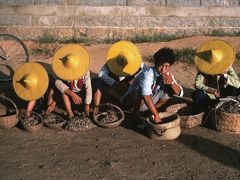 -1886德国汽车餐厅(外滩中央店)