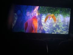 -华美国际影城(旧宫永辉店)