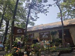 -沂蒙山旅游区云蒙景区(蒙山国家森林公园)