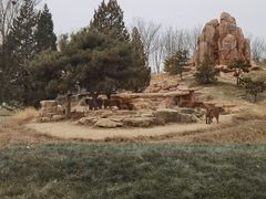 -北京野生动物园