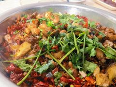 -食神又名厕所兔