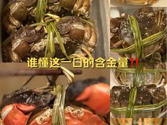 -阳澄湖半岛旅游度假区