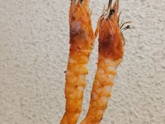 -烤五行·烧烤烤串(石佛营店)