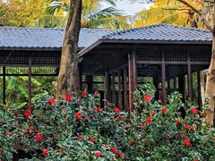 -深圳国际园林花卉博览园