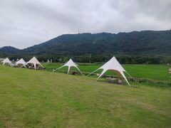 -艾米稻香小镇