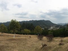 -密印寺