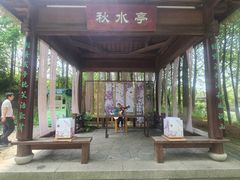 -苏州太湖国家湿地公园