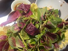 -亮欢寨快活林 酸汤鱼(仁怀店)