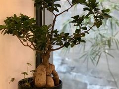 -故宫冰窖餐厅