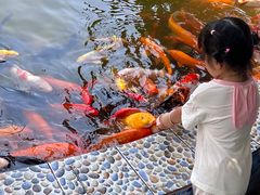 -南湖梦幻岛