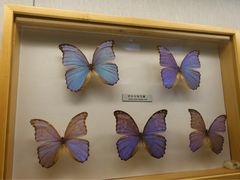 -青藏高原自然博物馆