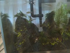 -上汽荣威飞凡体验中心(莲池南二环店)