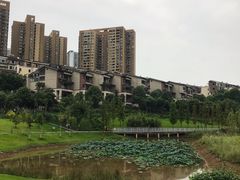 -沐仙湖湿地公园