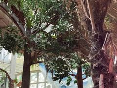 -正佳雨林生态植物园