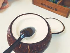 -志龙皇冠吃货椰子铺