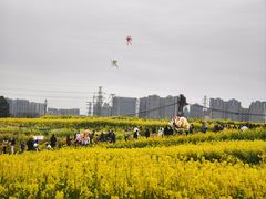 -三圣花乡旅游区