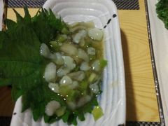 芥末章鱼-季乐
