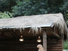 -云南野生动物园