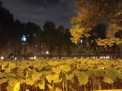 -四川大学(望江校区)