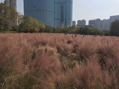 -艾溪湖湿地公园