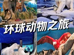 -天津自然博物馆